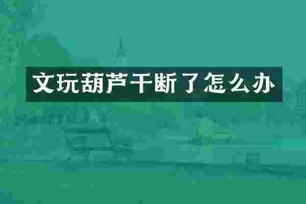 文玩葫芦干断了怎么办