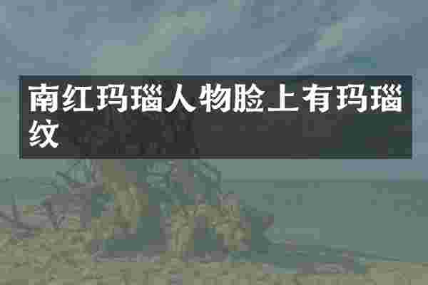 南红玛瑙人物脸上有玛瑙纹