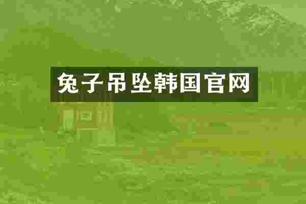 兔子吊坠韩国官网