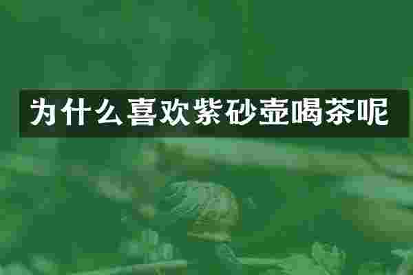 为什么喜欢紫砂壶喝茶呢
