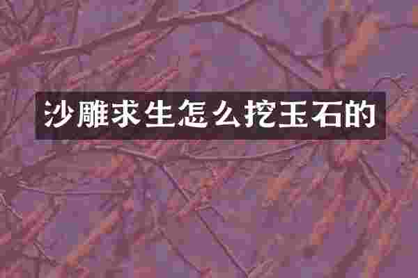 沙雕求生怎么挖玉石的