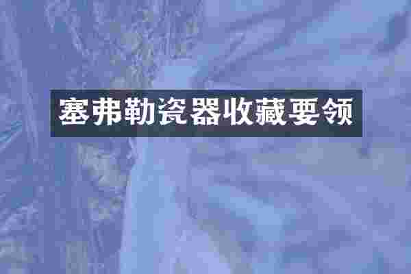 塞弗勒瓷器收藏要领
