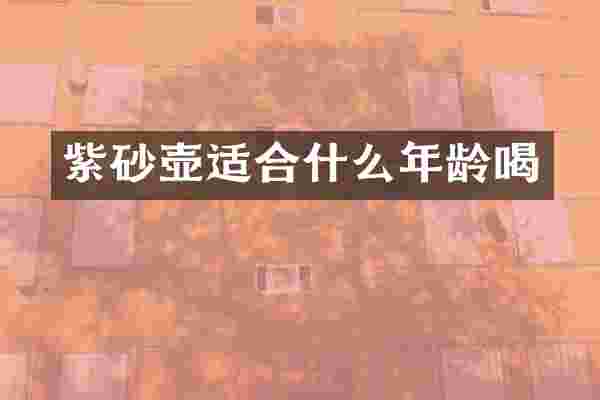 紫砂壶适合什么年龄喝