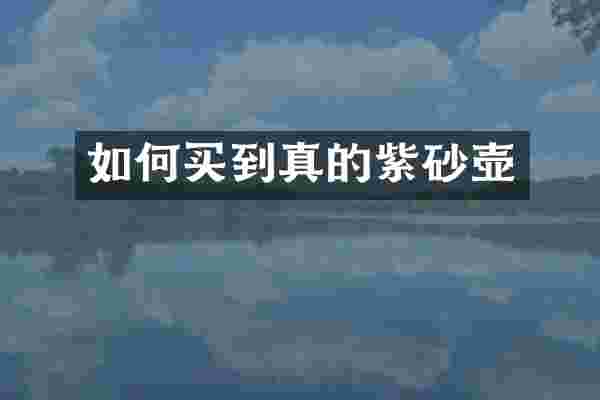 如何买到真的紫砂壶