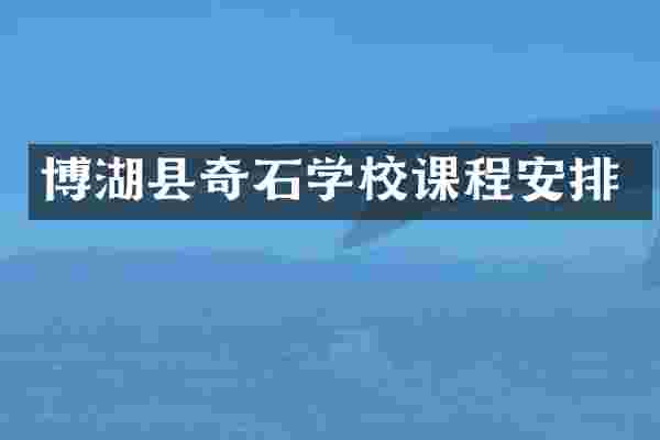 博湖县奇石学校课程安排