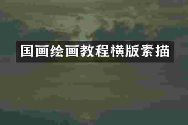 国画绘画教程横版素描