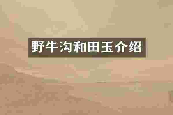 野牛沟和田玉介绍