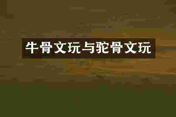 牛骨文玩与驼骨文玩
