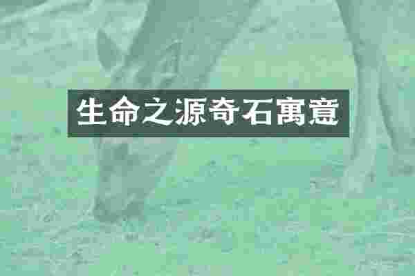 生命之源奇石寓意