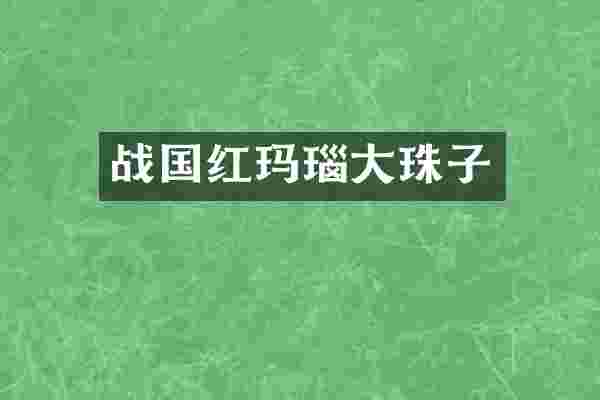 战国红玛瑙大珠子