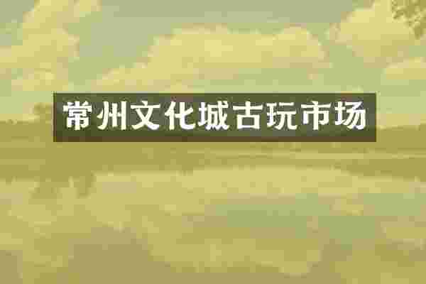 常州文化城古玩市场