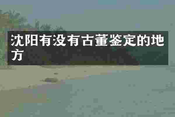 沈阳有没有古董鉴定的地方