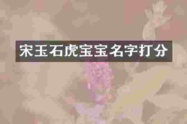 宋玉石虎宝宝名字打分