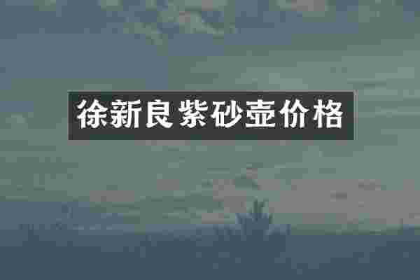 徐新良紫砂壶价格