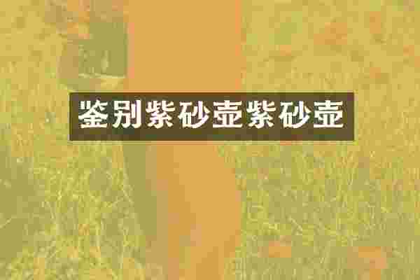 鉴别紫砂壶紫砂壶