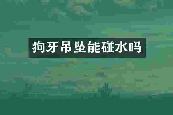 狗牙吊坠能碰水吗