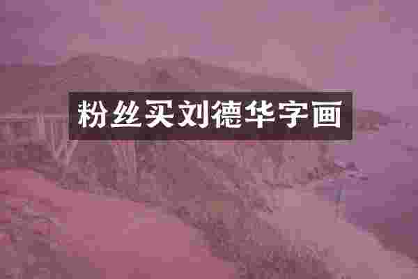 粉丝买刘德华字画