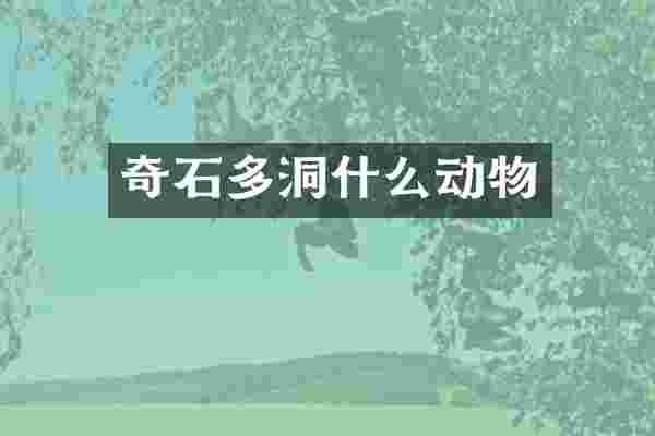 奇石多洞什么动物