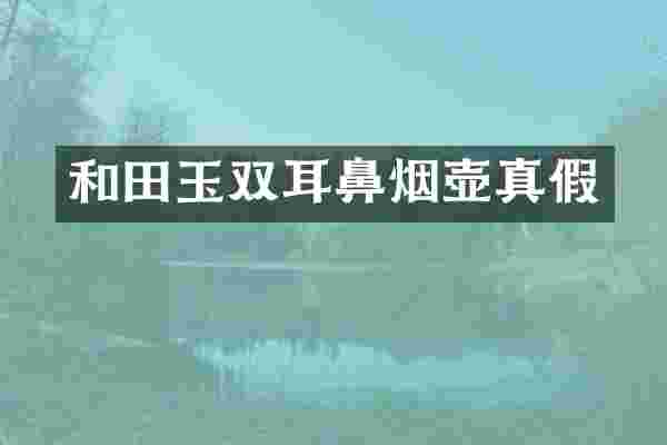 和田玉双耳鼻烟壶真假