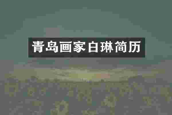 青岛画家白琳简历