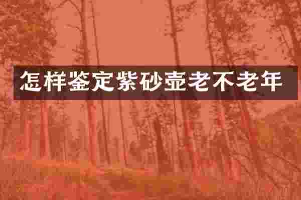 怎样鉴定紫砂壶老不老年