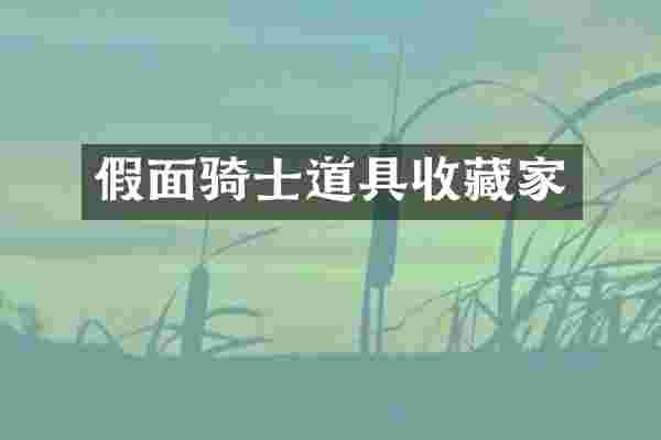 假面骑士道具收藏家