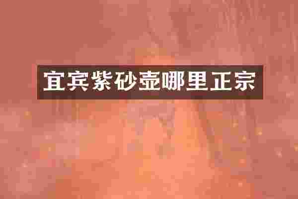 宜宾紫砂壶哪里正宗
