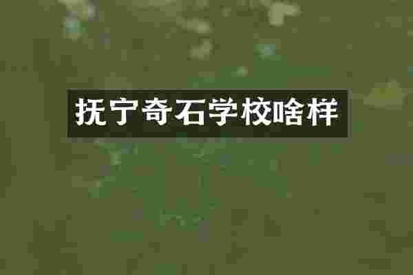 抚宁奇石学校啥样