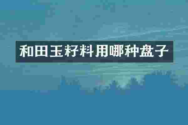 和田玉籽料用哪种盘子