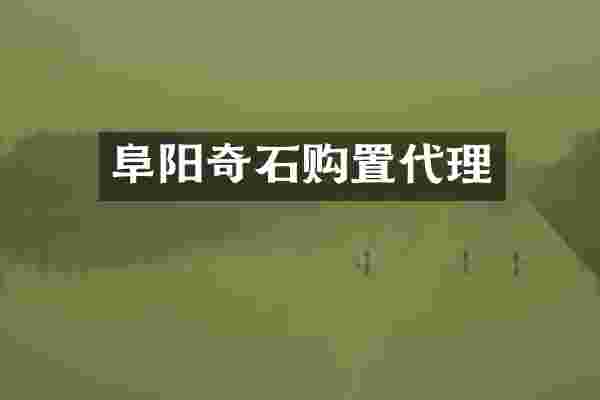 阜阳奇石购置代理