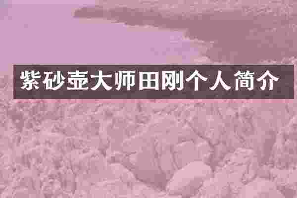 紫砂壶大师田刚个人简介