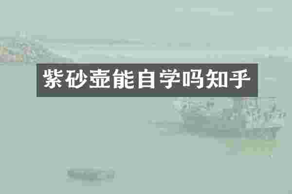 紫砂壶能自学吗知乎