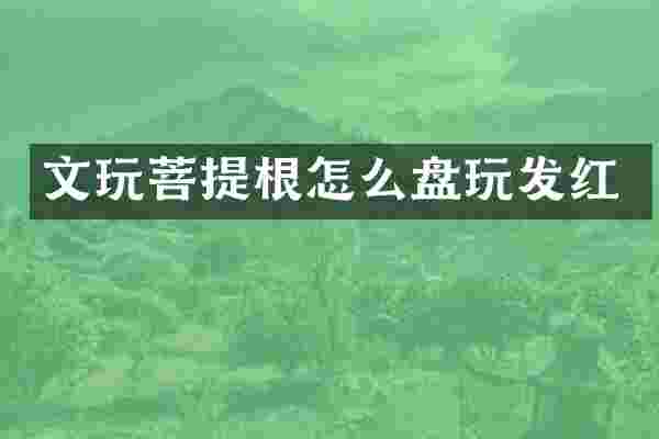 文玩菩提根怎么盘玩发红