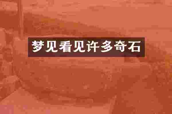 梦见看见许多奇石