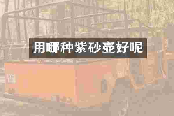 用哪种紫砂壶好呢