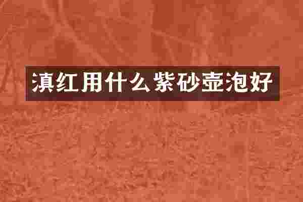 滇红用什么紫砂壶泡好