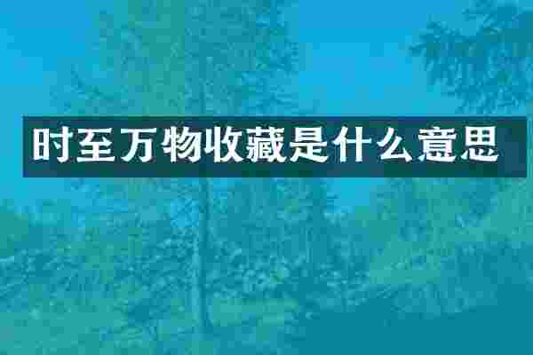 时至万物收藏是什么意思