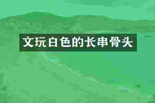 文玩白色的长串骨头