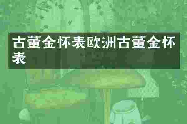 古董金怀表欧洲古董金怀表