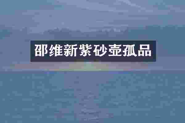 邵维新紫砂壶孤品
