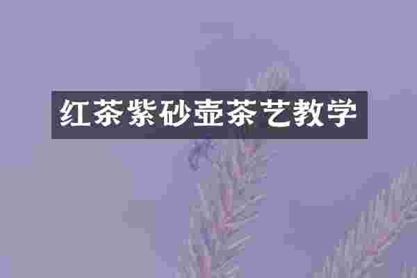 红茶紫砂壶茶艺教学
