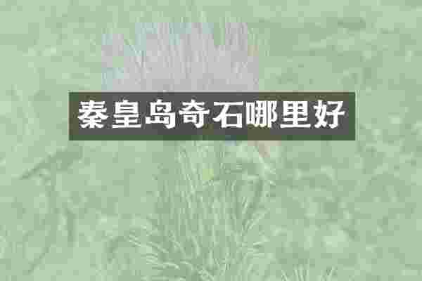 秦皇岛奇石哪里好