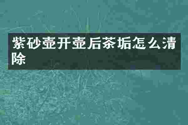 紫砂壶开壶后茶垢怎么清除