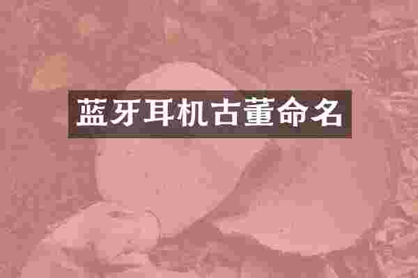 蓝牙耳机古董命名