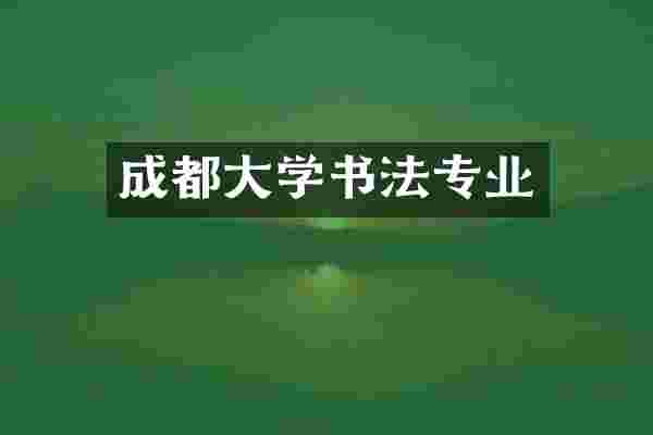 成都大学书法专业