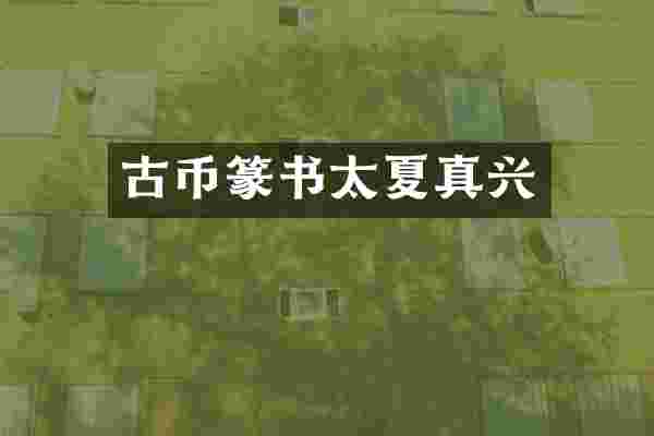 古币篆书太夏真兴