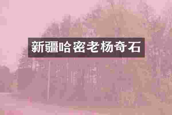 新疆哈密老杨奇石