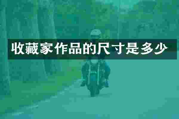 收藏家作品的尺寸是多少