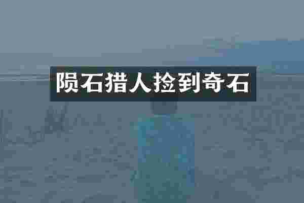 陨石猎人捡到奇石