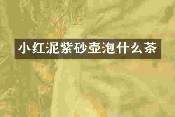 小红泥紫砂壶泡什么茶